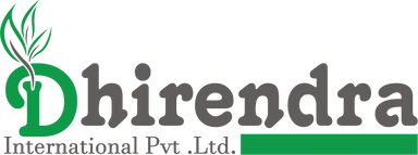 dhirendra international